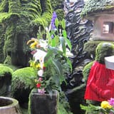 水掛不動尊 法善寺