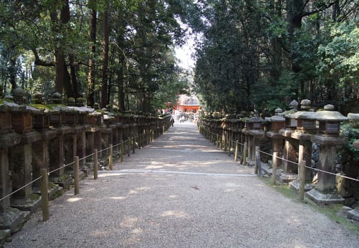 Kasuga Taisha