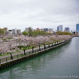 毛馬桜之宮公園