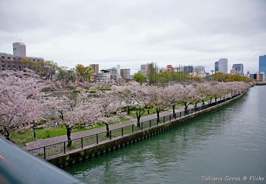 Kema Sakuranomiya Park