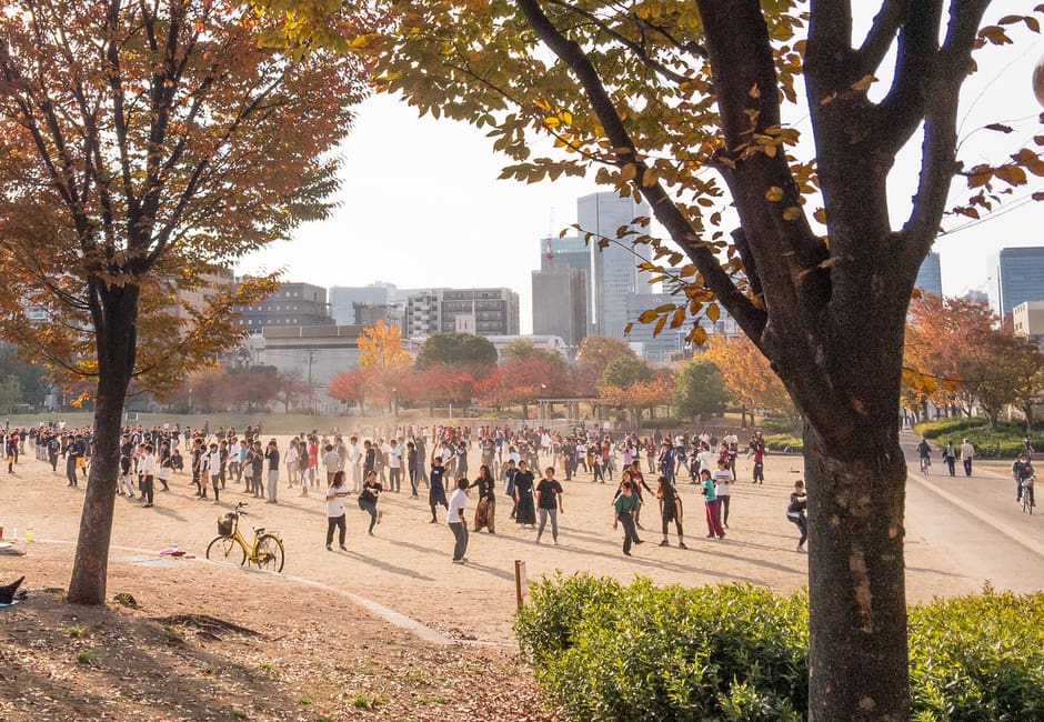 Autumn trees and open ground in Ogimachi Park in Osaka