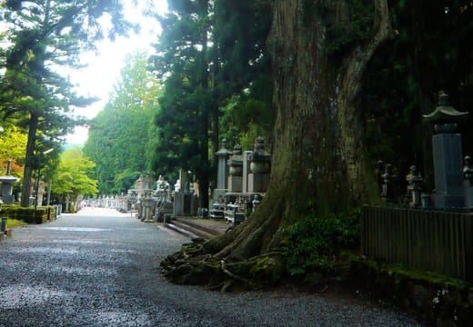 Okunoin