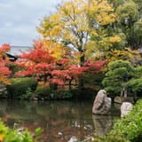 本坊庭園（極楽浄土の庭）