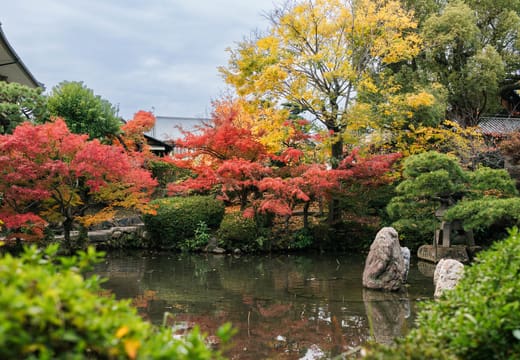 Shitenno-ji Honbo Garden (Gokuraku-jo-do)